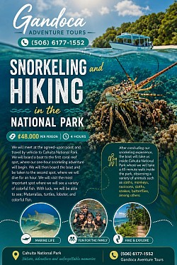 Snorkeling Tour